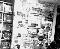 cam212_1-11-03.jpg