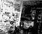 cam215_1-11-03.jpg
