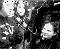 cam229_1-11-03.jpg