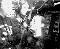 cam230_1-11-03.jpg