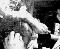 cam239_1-11-03.jpg