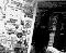 cam242_1-11-03.jpg