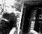 cam244_1-11-03.jpg