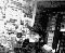 cam260_1-11-03.jpg
